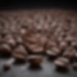 Rich dark roast coffee beans showcasing their deep color and sheen