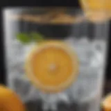 A refreshing glass of carbonated water with citrus slices