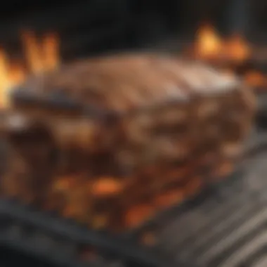 A detailed close-up of a wood burning grill's features and controls.