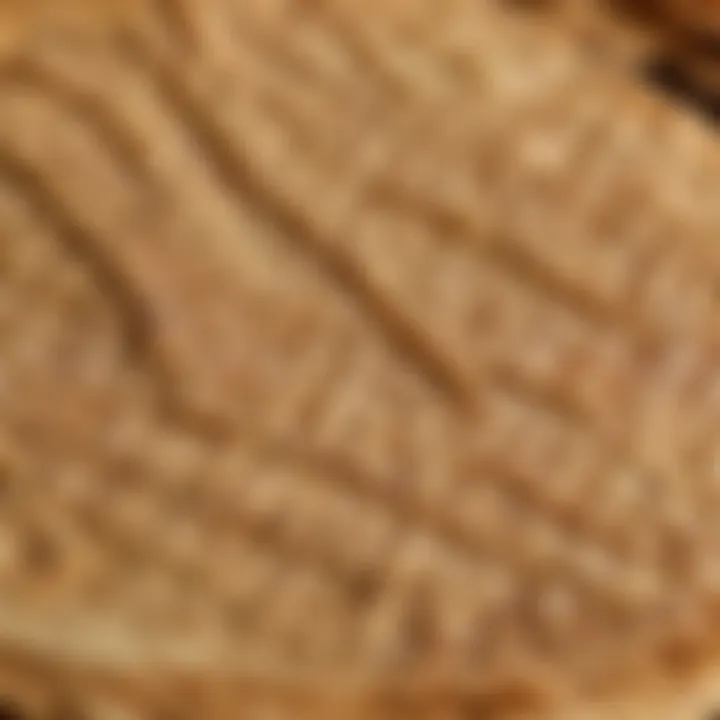 Close-up view of freshly made pizzelle displaying texture and patterns