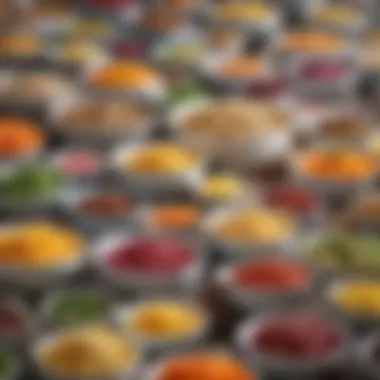 A colorful array of finished dishes made with a food processor