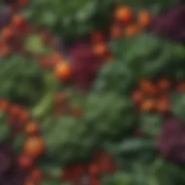 Iron-Rich Vegetables and Legumes A vibrant array of leafy greens and legumes showing iron-rich foods