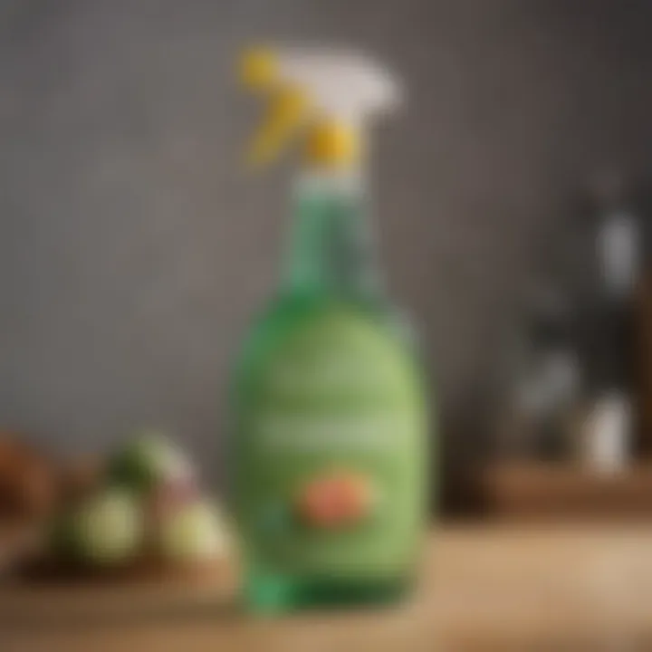 Eco-friendly cleaning solution in a spray bottle