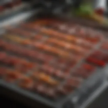 Various jerky flavors arranged next to a dehydrator.