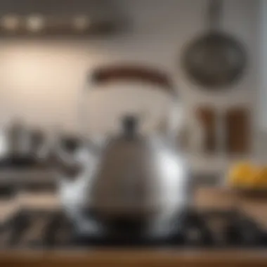 Elegant stainless steel whistling kettle on a stovetop