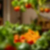 Indoor Gardening: Optimal Vegetables for Indoor Growth Introduction
