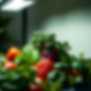 Indoor Gardening: Optimal Vegetables for Indoor Growth Summary Indoor Gardening: Optimal Vegetables for Indoor Growth Summary