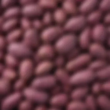 Abundant Harvest of Japanese Purple Sweet Potatoes A bountiful harvest of Japanese purple sweet potatoes displayed artfully