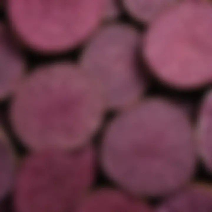 Close-up of the unique texture and color of Japanese purple sweet potatoes