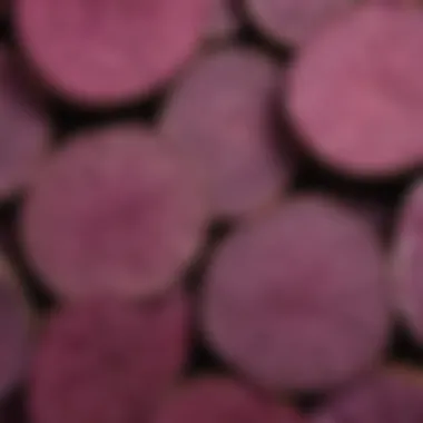 Intriguing Texture of Japanese Purple Sweet Potatoes Close-up of the unique texture and color of Japanese purple sweet potatoes