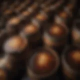 Traditional Japanese soy sauce barrels