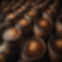 Traditional Japanese soy sauce barrels