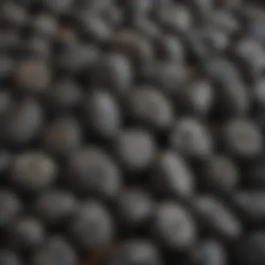 Types of Charcoal Different types of charcoal displayed side by side
