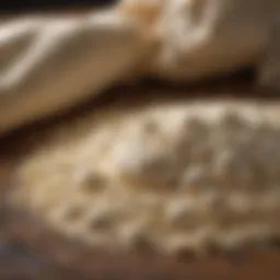 Close-up of flour and yeast mixture