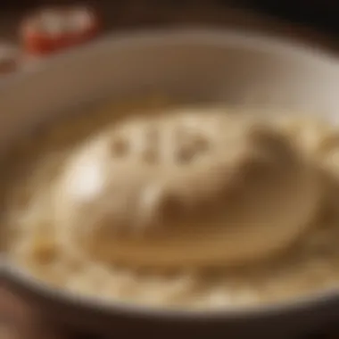 Kneaded dough resting in a bowl