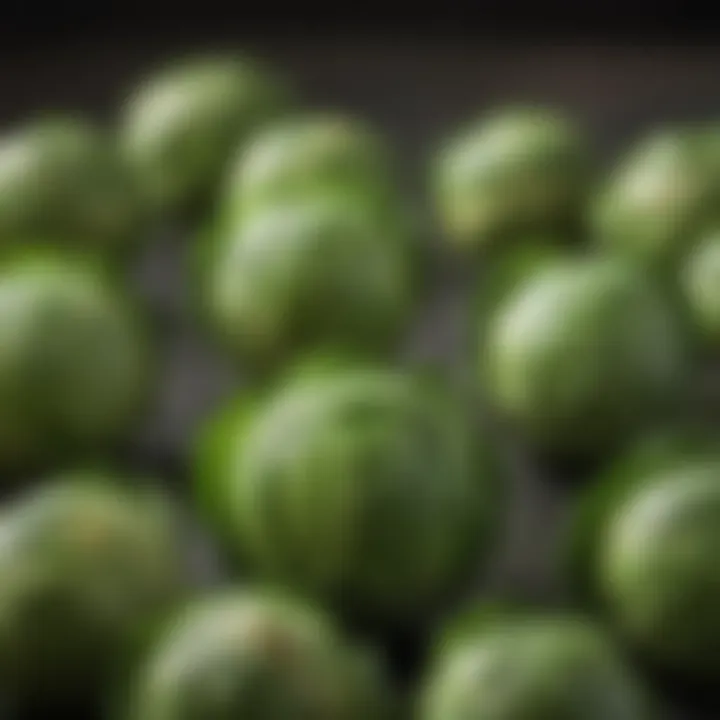 Fresh Brussels sprouts with vibrant green leaves