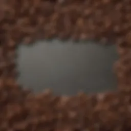 A close-up of various coffee beans showcasing different roast levels