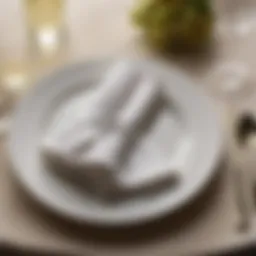 Elegant napkin arrangement on a dinner plate