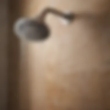 Transformation of a Shower Head Before and after cleaning shower head