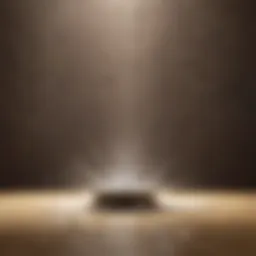 Natural ingredients for shower head cleaning