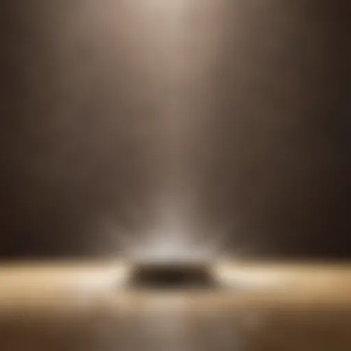 Natural ingredients for shower head cleaning