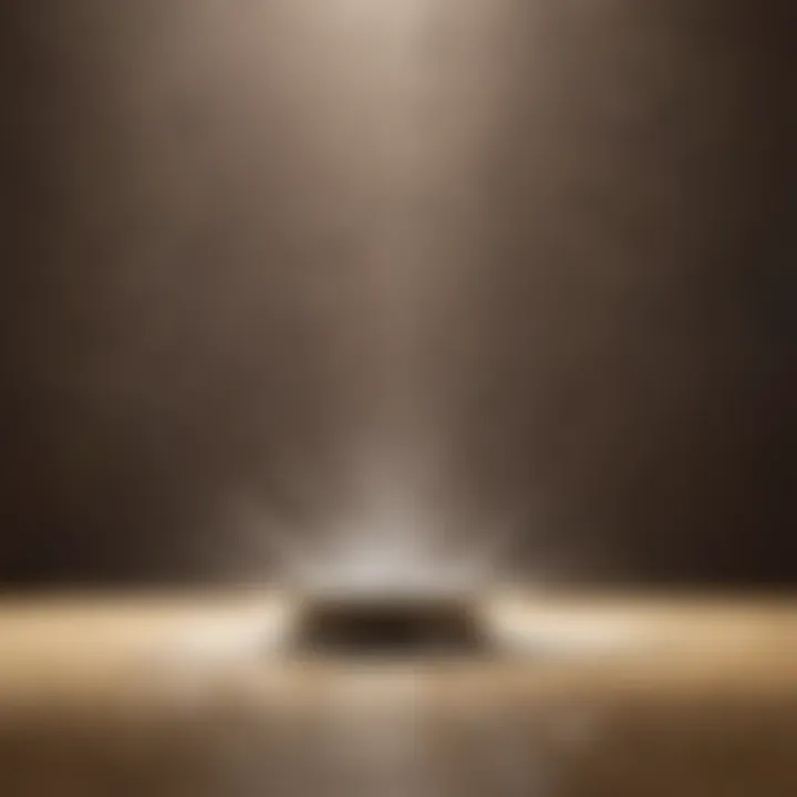 Natural ingredients for shower head cleaning
