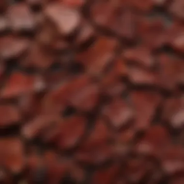 A close-up of high-quality nitrate-free jerky showcasing texture and color