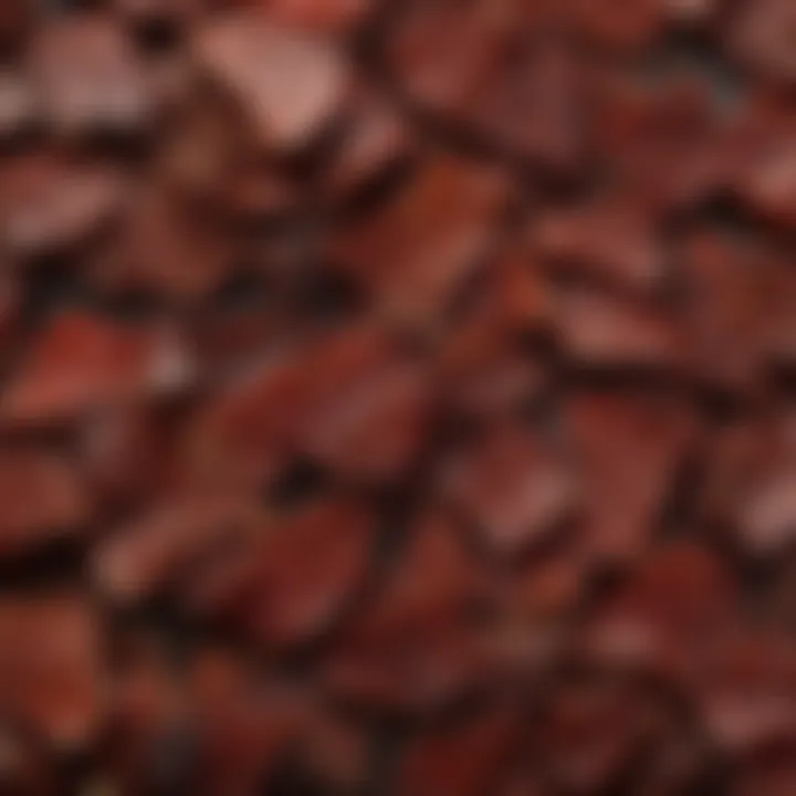 A close-up of high-quality nitrate-free jerky showcasing texture and color