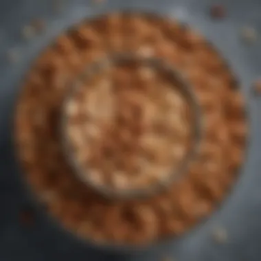 A close-up of crunchy, low-carb snack options like nuts and seeds arranged in a bowl