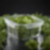 Fresh lettuce in a clear container with breathable lid