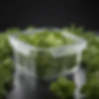 Breathable Container for Freshness Fresh lettuce in a clear container with breathable lid