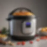 Rozmoz Instant Pot showcasing its sleek design