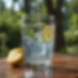 A clear glass filled with refreshing water, surrounded by nature.
