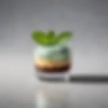 A minimalist presentation of a single dessert with fresh mint leaves.