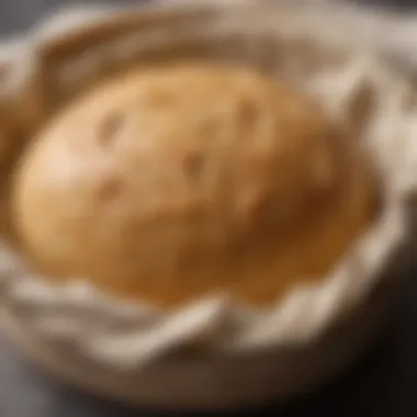 Close-up of dough resting in a brotform basket