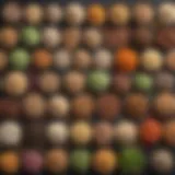 Diverse plant-based protein sources arranged artistically