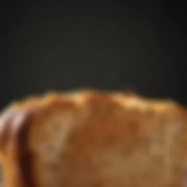 Golden-brown toasted bread showcasing crisp texture.