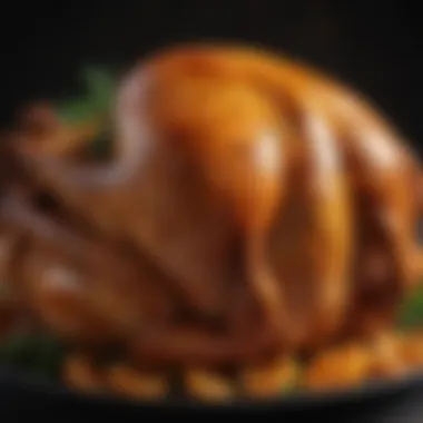 Golden-Brown Texture of Roasted Turkey Close-up of golden-brown turkey skin showcasing texture