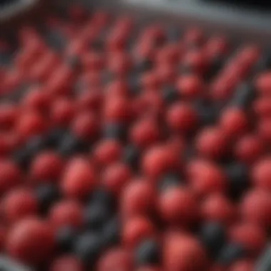 Close-up of berries in a specialized storage container
