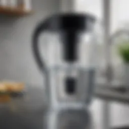 Close-up view of the water filter pitcher showcasing its sleek design and filtration technology.