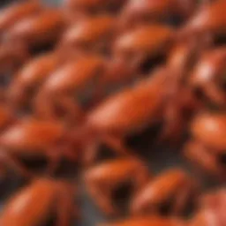 Nutritional breakdown of imitation crab