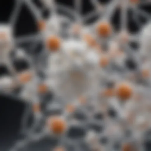 Detailed molecular structure of lactose showing its dual sugar composition.