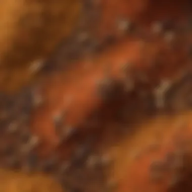 Textures and Colors of Ground Spices Close-up of ground spice textures and colors