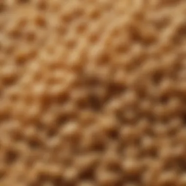 Close-up of textured vegetable protein granules