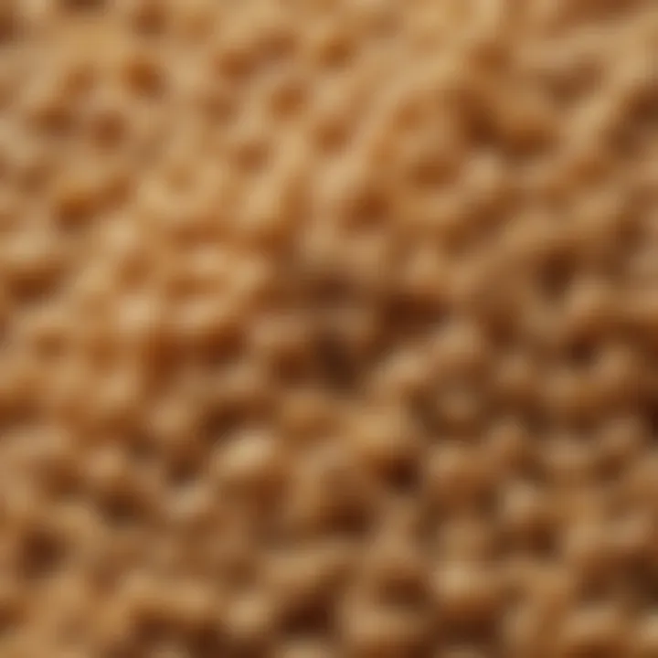 Close-up of textured vegetable protein granules