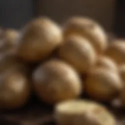 Freshly harvested large potatoes with earthy texture