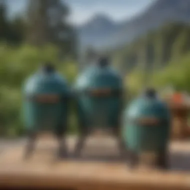 Side-by-side comparison of multiple Big Green Egg models to illustrate their varying dimensions.