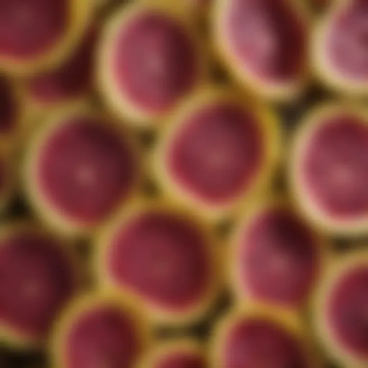 Close-up of prickly pear slices showcasing texture
