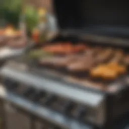A beautifully arranged propane grill showcasing its features and controls