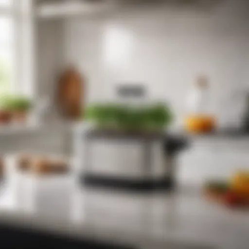 A sleek stand alone steamer on a kitchen countertop